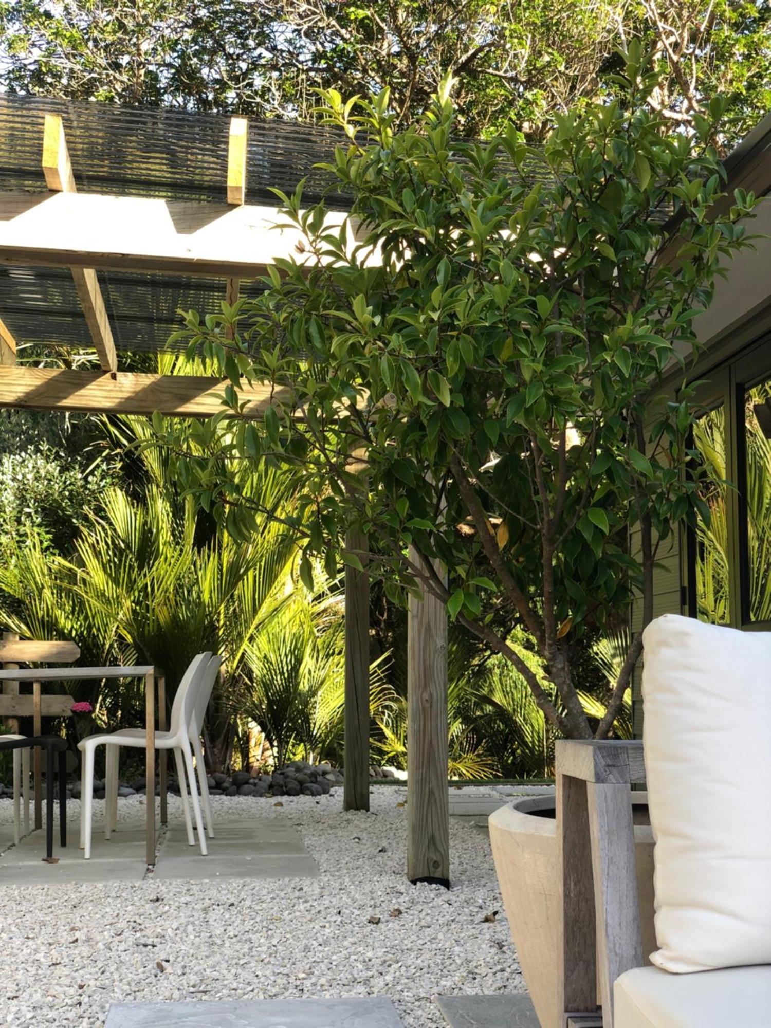 Villetta - Matakana Boutique Luxury Accommodation المظهر الخارجي الصورة